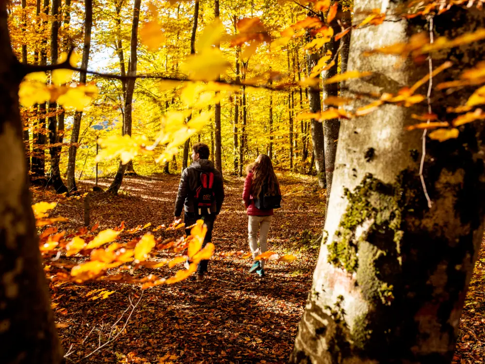 “Foliage” i colori d’autunno Foliage al Parco del Respiro Sentieri, emozioni, spettacoli… nei colori dell’autunno